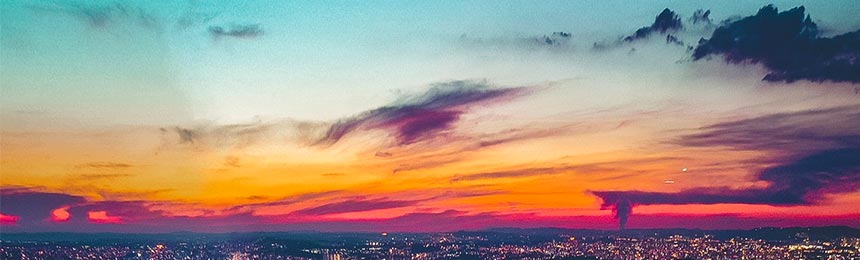 贵州茶虫网_贵州品茶